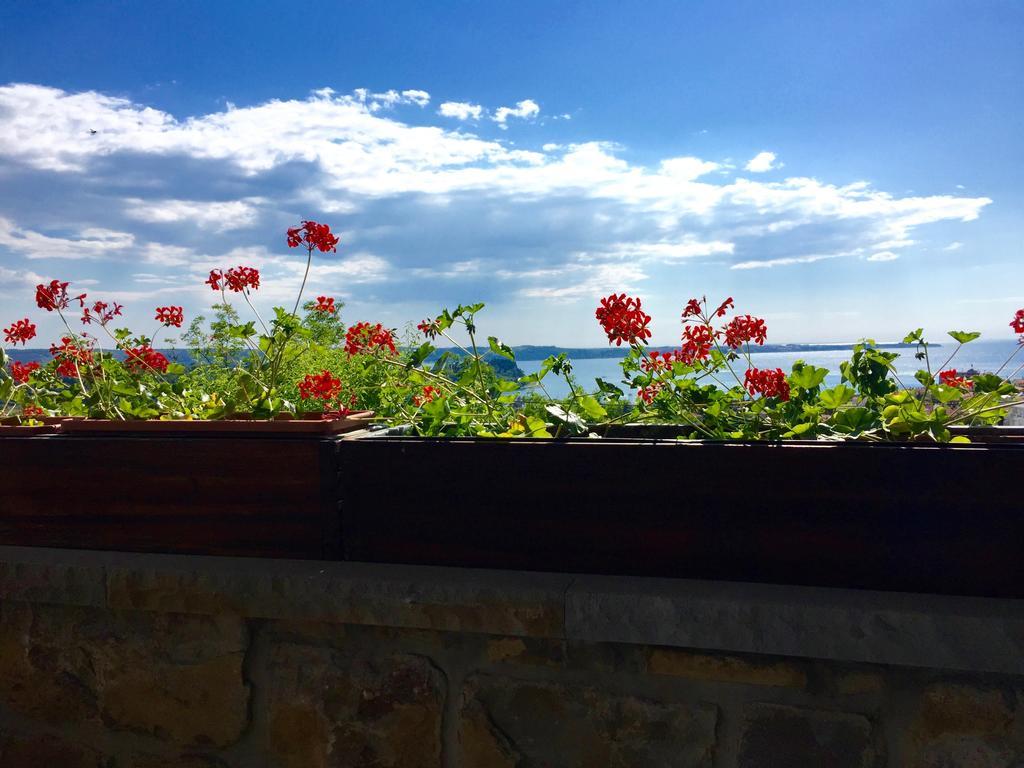 Istrian House Apartment Portoroz Exterior photo